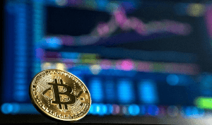 Blockchance 24